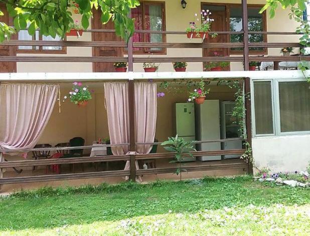 Эльза Hotel Gudauta Exterior photo